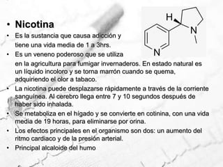 NicotinaEs la sustancia que causa adicción y	tiene una vida media de 1 a 3hrs.Es un veneno poderoso que se utiliza	en la agricultura para fumigar invernaderos. En estado natural es un líquido incoloro y se torna marrón cuando se quema, adquiriendo el olor a tabaco.La nicotina puede desplazarse rápidamente a través de la corriente sanguínea. Al cerebro llega entre 7 y 10 segundos después de haber sido inhalada.Se metaboliza en el hígado y se convierte en cotinina, con una vida media de 19 horas, para eliminarse por orina.Los efectos principales en el organismo son dos: un aumento del ritmo cardiaco y de la presión arterial.Principal alcaloide del humo 