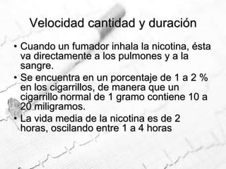 Velocidad cantidad y duraciónCuando un fumador inhala la nicotina, ésta va directamente a los pulmones y a la sangre. Se encuentra en un porcentaje de 1 a 2 % en los cigarrillos, de manera que un cigarrillo normal de 1 gramo contiene 10 a 20 miligramos. La vida media de la nicotina es de 2 horas, oscilando entre 1 a 4 horas
