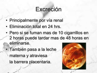 Excreción Principalmente por vía renal Eliminación total en 24 hrs. Pero si se fuman mas de 10 cigarrillos en 2 horas puede tardar mas de 48 horas en eliminarse.  También pasa a la leche	materna y atraviesa 	la barrera placentaria.