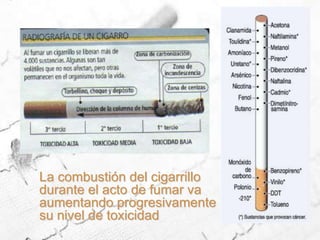 La combustión del cigarrillo durante el acto de fumar va aumentando progresivamente su nivel de toxicidad