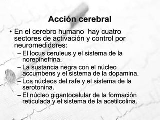 Se dañan los vasos sanguíneos