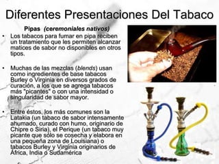 Diferentes Presentaciones Del Tabaco 		Pipas  (ceremoniales nativos) Los tabacos para fumar en pipa reciben un tratamiento que les permiten alcanzar matices de sabor no disponibles en otros tipos. Muchas de las mezclas (blends) usan como ingredientes de base tabacos Burley o Virginia en diversos grados de curación, a los que se agrega tabacos más "picantes" o con una intensidad o singularidad de sabor mayor. Entre éstos, los más comunes son la Latakia (un tabaco de sabor intensamente ahumado, curado con humo, originario de Chipre o Siria), el Perique (un tabaco muy picante que sólo se cosecha y elabora en una pequeña zona de Louisiana) o tabacos Burley y Virginia originarios de África, India o Sudamérica