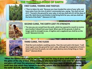 FIRST CURSE, THORNS AND THISTLES
• “Then to Adam He said, “Because you have heeded the voice of your wife, and
have eaten from the tree of which I commanded you, saying, ‘You shall not eat
of it’: “Cursed is the ground for your sake; in toil you shall eat of it all the days of
your life. Both thorns and thistles it shall bring forth for you, and you shall eat
the herb of the field.”” (Genesis 3:17-18)

SECOND CURSE, THE EARTH LOST ITS STRENGTH
• “So now you are cursed from the earth, which has opened its mouth to receive
your brother’s blood from your hand. When you till the ground, it shall no
longer yield its strength to you. A fugitive and a vagabond you shall be on the
earth” (Genesis 4:11-12)

THIRD CURSE, THE FLOOD
• “And the Lord smelled a soothing aroma. Then the Lord said in His heart, “I will
never again curse the ground for man’s sake, although the imagination of man’s
heart is evil from his youth; nor will I again destroy every living thing as I have
done”” (Genesis 8:21)

“When the faithful dead shall be resurrected, and the king of glory shall open before them
the gates of the city of God, and the nations who have kept the truth enter in, what beauty
and glory will meet the astonished sight of those who have seen no greater beauties in the
earth than that which they beheld in decaying nature after the threefold curse was upon
the earth” (E.G.W., Spiritual Gifts, vol.3, p.88)

 