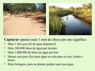 Capturar  apenas mais 1 mm de chuva por ano significa: Mais 1 litro por m2 de água disponível Mais 100.000 litros de água por hectare Mais 1.000.000 de litros de água por km 2 Menos seca pois fica mais água no solo para os rios, fontes e poços Mais forragem, pois as plantas podem usar essa água 