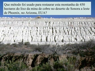 Que método foi usado para restaurar esta montanha de 450 hectares do lixo da mina de cobre no deserto de Sonora a leste de Phoenix, no Arizona, EUA? 