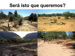 Será isto que queremos? 