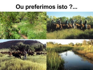 Ou preferimos isto ?... 