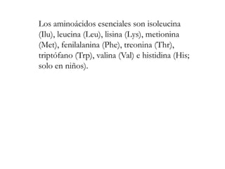 Los aminoácidos esenciales son isoleucina
(Ilu), leucina (Leu), lisina (Lys), metionina
(Met), fenilalanina (Phe), treonina (Thr),
triptófano (Trp), valina (Val) e histidina (His;
solo en niños).
 