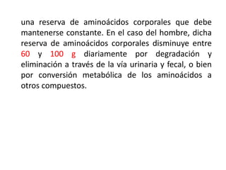 una reserva de aminoácidos corporales que debe
mantenerse constante. En el caso del hombre, dicha
reserva de aminoácidos corporales disminuye entre
60 y 100 g diariamente por degradación y
eliminación a través de la vía urinaria y fecal, o bien
por conversión metabólica de los aminoácidos a
otros compuestos.
 