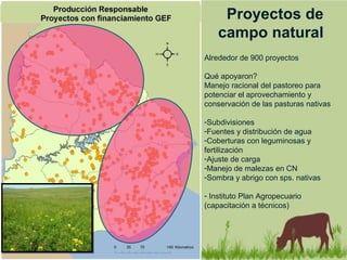 Proyectos de
campo natural
Alrededor de 900 proyectos
Qué apoyaron?
Manejo racional del pastoreo para
potenciar el aprovechamiento y
conservación de las pasturas nativas
-Subdivisiones
-Fuentes y distribución de agua
-Coberturas con leguminosas y
fertilización
-Ajuste de carga
-Manejo de malezas en CN
-Sombra y abrigo con sps. nativas
- Instituto Plan Agropecuario
(capacitación a técnicos)
 