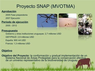 Aprobación
 2005 Fase preparatoria
 2007 Ejecución
Período de ejecución
 2005 - 2012
Presupuesto
 Gobierno y otras instituciones uruguayas: 2,7 millones USD
 GEF/PNUD: 2,9 millones USD
 España: 900 mil USD
 Francia: 1,3 millones USD
Objetivo
Objetivo del Proyecto: la conformación y gradual implementación de un
Sistema Nacional de Áreas Protegidas para la conservación efectiva
de un universo representativo de la biodiversidad de Uruguay
Proyecto SNAP (MVOTMA)
 