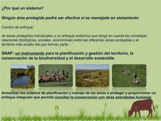 ¿Por qué un sistema?
Ningún área protegida podrá ser efectiva si es manejada en aislamiento
Cambio de enfoque:
de áreas protegidas individuales a un enfoque sistémico que tenga en cuenta las complejas
relaciones (biológicas, sociales, económicas) entre las diferentes áreas protegidas y el
territorio más amplio del que forman parte.
SNAP: un instrumento para la planificación y gestión del territorio, la
conservación de la biodiversidad y el desarrollo sostenible
Armonizar los criterios de planificación y manejo de las áreas a proteger y proporcionar un
enfoque integrado que permita conciliar la conservación con otras actividades humanas
 