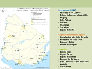 Incorporadas al SNAP:
- Quebrada de los Cuervos
- Esteros de Farrapos e Islas del Río
Uruguay
- Cabo Polonio
- Lunarejo
- Chamangá
- San Miguel
- Laguna de Rocha
En proceso avanzado de ingreso:
- Cerro Verde e Islas de La Coronilla
- Humedales del Santa Lucía
- Laureles – Cañas
- Montes del Queguay
En estudio:
- Laguna Negra
- Laguna Garzón
- Laguna de Castillos
- Bosques del Río Negro
- Paso Centurión – Sierra de los Ríos
- Arequita
- Isla de Flores
 