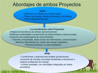 Abordajes de ambos Proyectos
SNAP:
- Definición de objetos de conservación
- Planes de manejo, amplia articulación de actores
- Áreas extensas/cuencas
La coordinación entre Proyectos:
-Integra los beneficios de ambas aproximaciones
-Sistemas sustentables conservando la biodiversidad y cultura locales
-involucra una amplia gama de conocimientos
- Visiones compartidas, base común de información y comunicación
-Mantiene flexibilidad por medio del manejo adaptativo
-Prioriza procesos, no solo resultados
PPR:
- Condiciones y aspiraciones locales (productores)
-Acciones de manejo concretas tendientes a solucionar o
mejorar problemas de manejo
- Limites prediales, con abordajes integrados en áreas
prioritarias
 