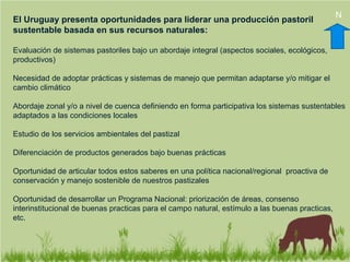 El Uruguay presenta oportunidades para liderar una producción pastoril
sustentable basada en sus recursos naturales:
Evaluación de sistemas pastoriles bajo un abordaje integral (aspectos sociales, ecológicos,
productivos)
Necesidad de adoptar prácticas y sistemas de manejo que permitan adaptarse y/o mitigar el
cambio climático
Abordaje zonal y/o a nivel de cuenca definiendo en forma participativa los sistemas sustentables
adaptados a las condiciones locales
Estudio de los servicios ambientales del pastizal
Diferenciación de productos generados bajo buenas prácticas
Oportunidad de articular todos estos saberes en una política nacional/regional proactiva de
conservación y manejo sostenible de nuestros pastizales
Oportunidad de desarrollar un Programa Nacional: priorización de áreas, consenso
interinstitucional de buenas practicas para el campo natural, estímulo a las buenas practicas,
etc.
N
 