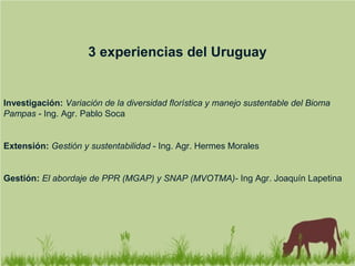 3 experiencias del Uruguay
Investigación: Variación de la diversidad florística y manejo sustentable del Bioma
Pampas - Ing. Agr. Pablo Soca
Extensión: Gestión y sustentabilidad - Ing. Agr. Hermes Morales
Gestión: El abordaje de PPR (MGAP) y SNAP (MVOTMA)- Ing Agr. Joaquín Lapetina
 