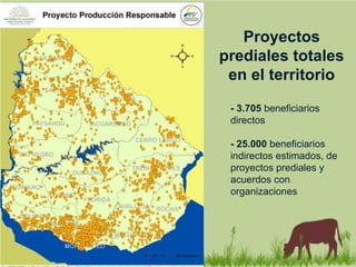 - 3.705 beneficiarios
directos
- 25.000 beneficiarios
indirectos estimados, de
proyectos prediales y
acuerdos con
organizaciones
Proyectos
prediales totales
en el territorio
 