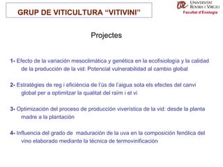 Facultat d’Enologia 1-  Efecto de la variación  mesoclimática y genética en la ecofisiología y la calidad de la producción de la vid: Potencial vulnerabilidad al cambio global 2-  Estratègies de reg i eficiència de l’ús de l’aigua sota els efectes del canvi global per a optimitzar la qualitat del raïm i el vi 3-  Optimización del proceso de producción viverística de la vid: desde la planta madre a la plantación   4-  Influencia del grado de  maduración de la uva en la composición fenólica del vino elaborado mediante la técnica de termovinificación GRUP DE VITICULTURA “VITIVINI” Projectes 