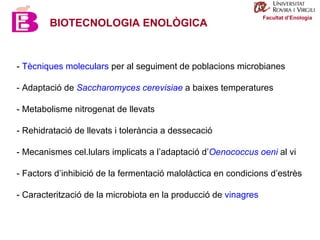 Facultat d’Enologia -  Tècniques moleculars  per al seguiment de poblacions microbianes - Adaptació de  Saccharomyces cerevisiae  a baixes temperatures - Metabolisme nitrogenat de llevats - Rehidratació de llevats i tolerància a dessecació - Mecanismes cel.lulars implicats a l’adaptació d’ Oenococcus   oeni  al vi - Factors d’inhibició de la fermentació malolàctica en condicions d’estrès - Caracterització de la microbiota en la producció de  vinagres BIOTECNOLOGIA ENOLÒGICA 