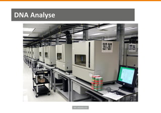 Bild: wikipedia.com
DNA Analyse
 