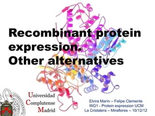 Recombinant protein
expression.
Other alternatives
Elvira Marín – Felipe Clemente
WG1 - Protein expression UCM
La Cristalera – Miraflores – 10/12/12
 