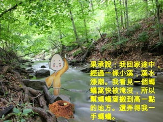 32
     果承說：我回家途中，
     經過一條小溪，溪水
     漲潮。我看見一個螞
     蟻窩快被淹沒，所以
     幫螞蟻窩搬到高一點
     的地方。還弄得我一
     手螞蟻。
 