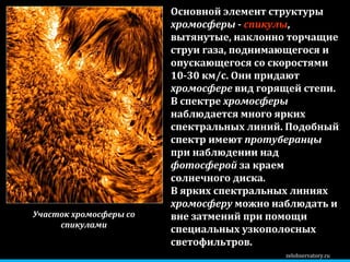 zelobservatory.ru Основной элемент структуры  хромосферы  -  спикулы , вытянутые, наклонно торчащие струи газа, поднимающегося и опускающегося со скоростями 10-30 км/с. Они придают  хромосфере  вид горящей степи. В спектре  хромосферы  наблюдается много ярких спектральных линий. Подобный спектр имеют  протуберанцы  при наблюдении над  фотосферой  за краем солнечного диска.  В ярких спектральных линиях  хромосферу  можно наблюдать и вне затмений при помощи специальных узкополосных светофильтров. Участок хромосферы со спикулами 