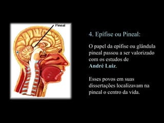 4. Epífise ou Pineal:
O papel da epífise ou glândula
pineal passou a ser valorizado
com os estudos de
André Luiz.
Esses povos em suas
dissertações localizavam na
pineal o centro da vida.
 
