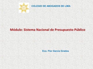 COLEGIO DE ABOGADOS DE LIMA




Módulo: Sistema Nacional de Presupuesto Público




                    Eco. Flor Garcia Grados
 