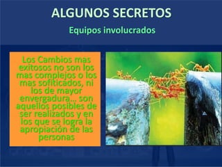 ALGUNOS SECRETOS
Los Cambios mas
exitosos no son los
mas complejos o los
mas sofiticados, ni
los de mayor
envergadura… son
aquellos posibles de
ser realizados y en
los que se logra la
apropiación de las
personas
Equipos involucrados
 