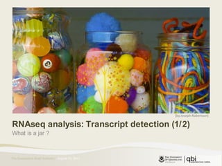 [by Joseph Robertson] RNAseq analysis: Transcript detection (1/2) What is a jar ? August 11, 2011 