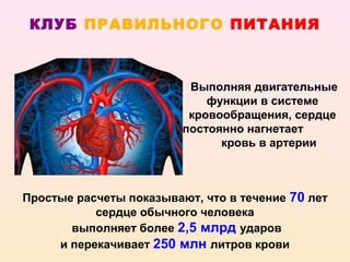 КЛУБ ПРАВИЛЬНОГО ПИТАНИЯ



                          Выполняя двигательные
                             функции в системе
                          кровообращения, сердце
                         постоянно нагнетает
                               кровь в артерии



Простые расчеты показывают, что в течение 70 лет
           сердце обычного человека
       выполняет более 2,5 млрд ударов
     и перекачивает 250 млн литров крови
 