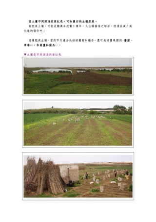 從土壤不同深淺的紫紅色，可知農田的土壤肥美從土壤不同深淺的紫紅色，可知農田的土壤肥美從土壤不同深淺的紫紅色，可知農田的土壤肥美從土壤不同深淺的紫紅色，可知農田的土壤肥美。。。。
有肥美土壤，可能是數萬年或數十萬年，火山爆發後之熔岩，經漫長歲月風
化後的傑作吧！
這種肥美土壤，當然不只適合栽培胡蘿蔔和橘子，還可栽培醬果類的-蕃茄、蕃茄、蕃茄、蕃茄、
草莓…，和葫蘆科南瓜草莓…，和葫蘆科南瓜草莓…，和葫蘆科南瓜草莓…，和葫蘆科南瓜…。
▼土壤是不同深淺的紫紅色
 