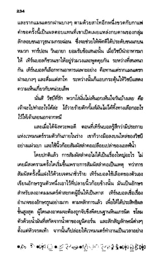 อาร์ทิมิส ฟาวล์ 08
