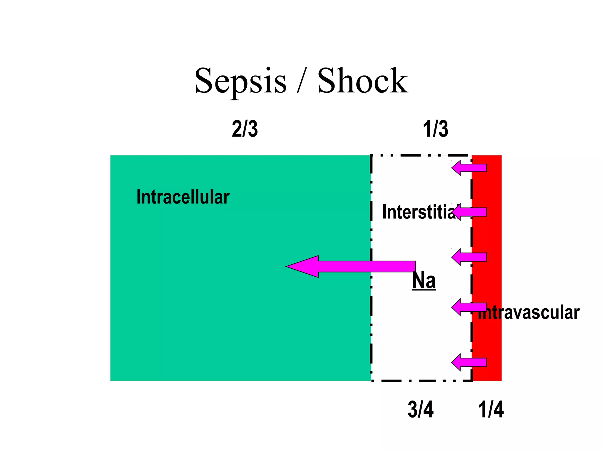 Sepsis / Shock
Intracellular
Interstitial
Intravascular
2/3 1/3
3/4 1/4
Na
 