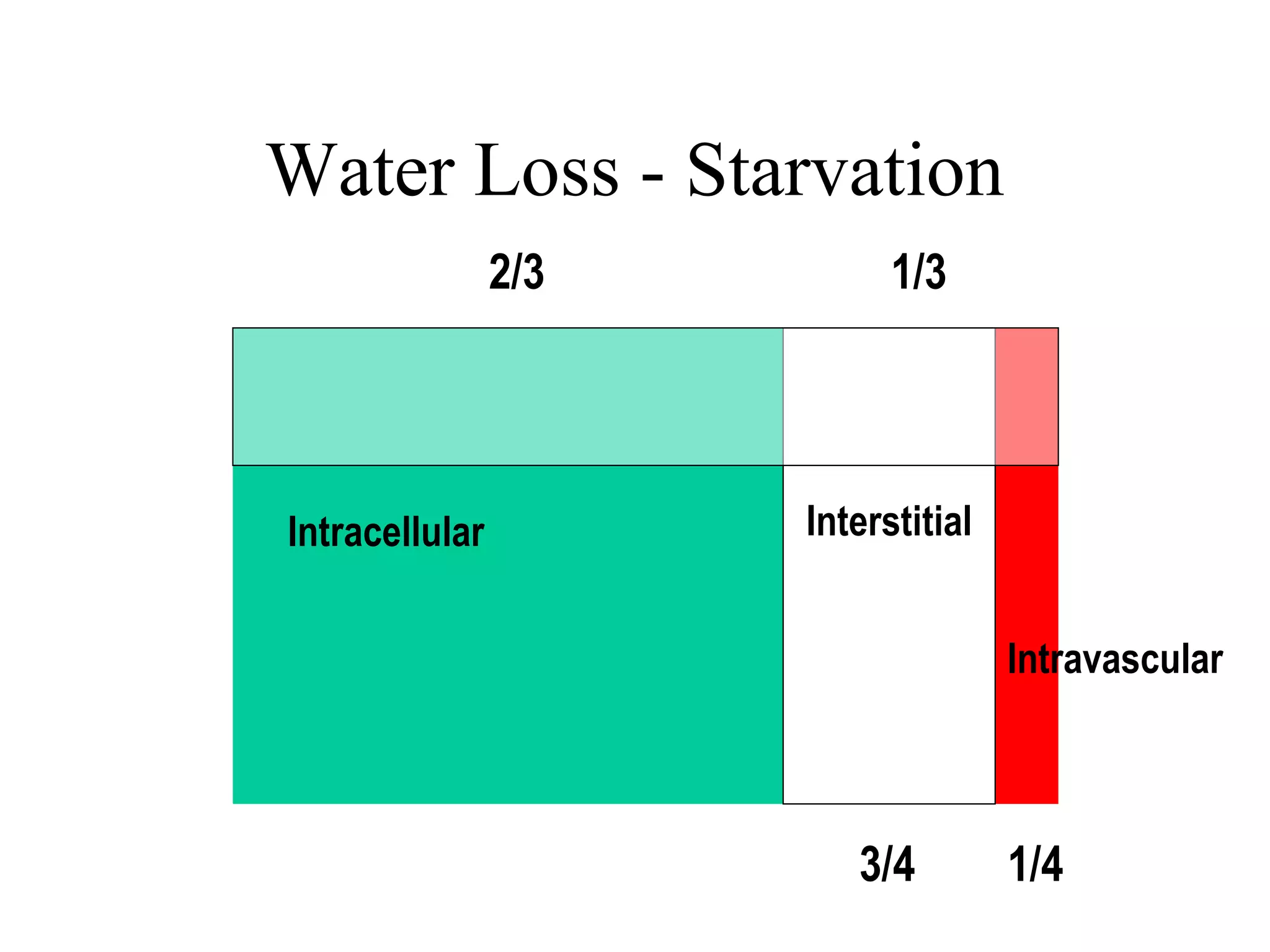 Water Loss - Starvation
Intracellular Interstitial
Intravascular
2/3 1/3
3/4 1/4
 