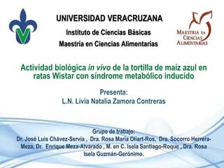 Instituto de Ciencias Básicas
Actividad biológica in vivo de la tortilla de maíz azul en
ratas Wistar con síndrome metabólico inducido
UNIVERSIDAD VERACRUZANA
Presenta:
L.N. Livia Natalia Zamora Contreras
Maestría en Ciencias Alimentarias
Grupo de trabajo:
Dr. José Luis Chávez-Servia , Dra. Rosa María Oliart-Ros, Dra. Socorro Herrera-
Meza, Dr. Enrique Meza-Alvarado , M. en C. Isela Santiago-Roque , Dra. Rosa
Isela Guzmán-Gerónimo.
 