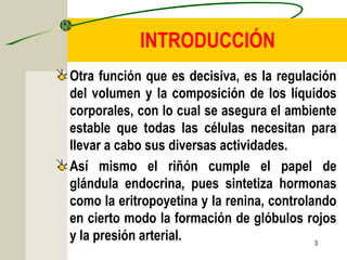 3
INTRODUCCIÓN
Otra función que es decisiva, es la regulación
del volumen y la composición de los líquidos
corporales, con lo cual se asegura el ambiente
estable que todas las células necesitan para
llevar a cabo sus diversas actividades.
Así mismo el riñón cumple el papel de
glándula endocrina, pues sintetiza hormonas
como la eritropoyetina y la renina, controlando
en cierto modo la formación de glóbulos rojos
y la presión arterial.
 