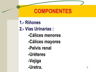 5
COMPONENTES
1.- Riñones
2.- Vías Urinarias :
-Cálices menores
-Cálices mayores
-Pelvis renal
-Uréteres
-Vejiga
-Uretra.
 