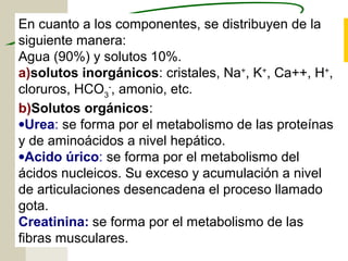 51
En cuanto a los componentes, se distribuyen de la
siguiente manera:
Agua (90%) y solutos 10%.
a)solutos inorgánicos: cristales, Na+
, K+
, Ca++, H+
,
cloruros, HCO3
-
, amonio, etc.
b)Solutos orgánicos:
•Urea: se forma por el metabolismo de las proteínas
y de aminoácidos a nivel hepático.
•Acido úrico: se forma por el metabolismo del
ácidos nucleicos. Su exceso y acumulación a nivel
de articulaciones desencadena el proceso llamado
gota.
Creatinina: se forma por el metabolismo de las
fibras musculares.
 