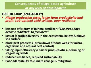 Consequences of tillage-based agriculture
at any level of development
FOR THE CROP (AND SOCIETY)
• Higher production costs, lower farm productivity and
profit, sub-optimal yield ceilings, poor resilience
• less use efficiency of mineral fertilizer: “The crops have
become ‘addicted’ to fertilizers”
• loss of (agro)biodiversity in the ecosystem, below & above
soil surface
• more pest problems (breakdown of food-webs for micro-
organisms and natural pest control)
• falling input efficiency & factor productivities, declining or
stagnating yields
• reduced resilience, reduced sustainability
• Poor adaptability to climate change & mitigation
12
 