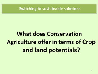 What does Conservation
Agriculture offer in terms of Crop
and land potentials?
14
Switching to sustainable solutions
 