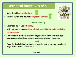 Technical objectives of SPI
• Agricultural land productivity
• Natural capital and flow of ecosystems services
Simultaneously
• Enhanced input-use efficiency
• Build farming system resilience (biotic and abiotic), including being
climate-smart
• Contribute to multiple-outcome objectives at farm, community &
landscape, and national scales e.g. climate change mitigation
And
• Capable of rehabilitating land productivity and ecosystem services in
degraded and abandoned lands
But how?
15
 