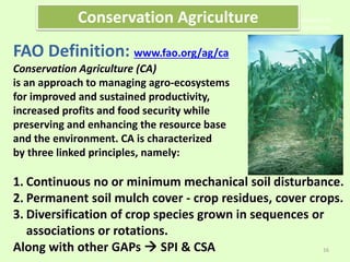 Worldwide adoption of
Conservation Agriculture
FAO Definition: www.fao.org/ag/ca
Conservation Agriculture (CA)
is an approach to managing agro-ecosystems
for improved and sustained productivity,
increased profits and food security while
preserving and enhancing the resource base
and the environment. CA is characterized
by three linked principles, namely:
1. Continuous no or minimum mechanical soil disturbance.
2. Permanent soil mulch cover - crop residues, cover crops.
3. Diversification of crop species grown in sequences or
associations or rotations.
Along with other GAPs  SPI & CSA
Conservation Agriculture
16
 