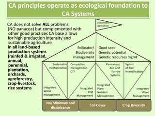 CA does not solve ALL problems
(NO panacea) but complemented with
other good practices CA base allows
for high production intensity and
sustainable agriculture
in all land-based
production systems
(rainfed & irrigated,
annual,
perennial,
plantation,
orchards,
agroforestry,
crop-livestock,
rice systems
CA principles operate as ecological foundation to
CA Systems
No/Minimum soil
disturbance
Soil Cover Crop Diversity
Integrated
Pest
Management
Integrated
Plant
Nutrient
Management
Integrated
Weed
Management
Integrated
Water
management
Sustainable
mechanization
Compaction
management,
CTF
Permanent
Bed and
Furrow
Systems
System
of Rice
Intensification
Good seed
Genetic potential
Genetic resources mgmt
Pollinator/
Biodiversity
management
Sustainable
agriculture
17
 