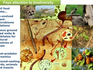 Pays attention to biodiversity
oil food
ebs…
o-evolved
ant-
icrobiome
lations
bove ground
od webs &
abitates for
atural
nemies of
ests
est-predator
ynamics
round-nesting
rds, animals
nd insects 20
 