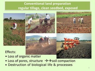 Conventional land preparation
regular tillage, clean seedbed, exposed
Effects:
• Loss of organic matter
• Loss of pores, structure soil compaction
• Destruction of biological life & processes
3
 