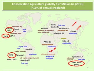 Worldwide adoption of
Conservation Agriculture
6th World Congress on Conservation Agriculture, Winnipeg, 22-25 June 2014 slide 2/x
subtropical, semi-arid
USA 36
Canada
18
Australia 17.9
Europe 2 Kazakhstan 2
Africa 1.2
Brazil 32
Argentina 27
Paraguay 3
China 6.7
tropical savannah
continental, dry
sub-tropics, temperate, moist
temperate, moist
continental, dry
irrigated
smallholder
smallholder
smallholder
temperate & subtropical
moist & semi-arid
subtropical,
semi-arid
large scale &
smallholder
large
scale
large scale
large scale
large scale
large & small
scale
tropical savannah
other LA 2.4
>50% W
(40%)
20%
99%
100% West
(36%)
Russia,
Ukraine 5.2
India 1.5
smallholder
other Asia 0.1
39
Conservation Agriculture globally 157 Million ha (2013)
(~11% of annual cropland)
 