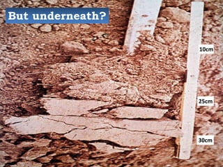 25cm
30cm
10cm
But underneath?
4
 