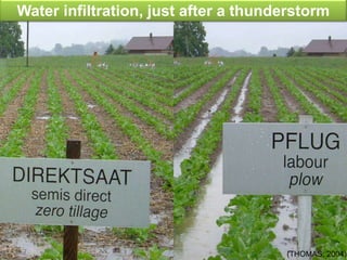(THOMAS, 2004)
Water infiltration, just after a thunderstorm
 